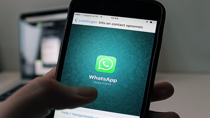 whatsap-govde